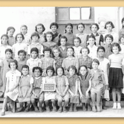 Arzew 1954