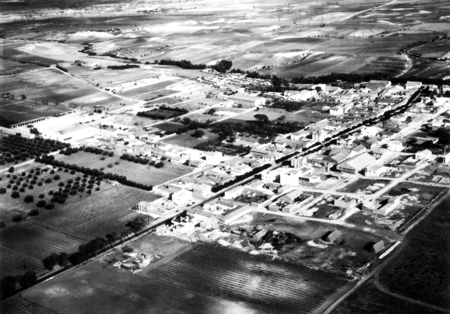 Bosquet vue générale