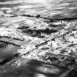 Bosquet vue générale