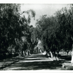 Avenue des Thermes