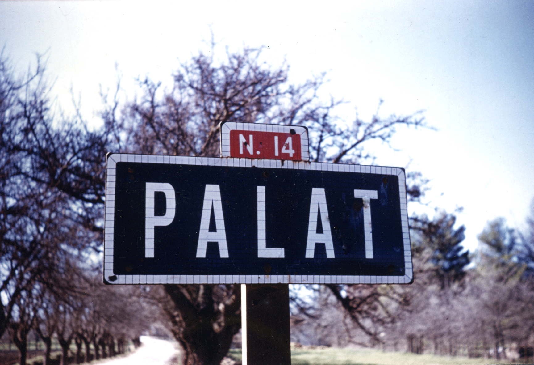 Palat