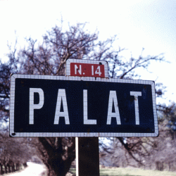 Palat