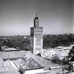 Mosquée Sidi-Halaoui