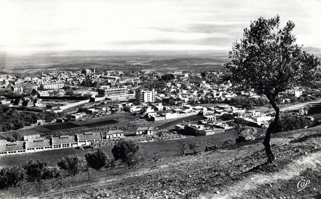 Tlemcen