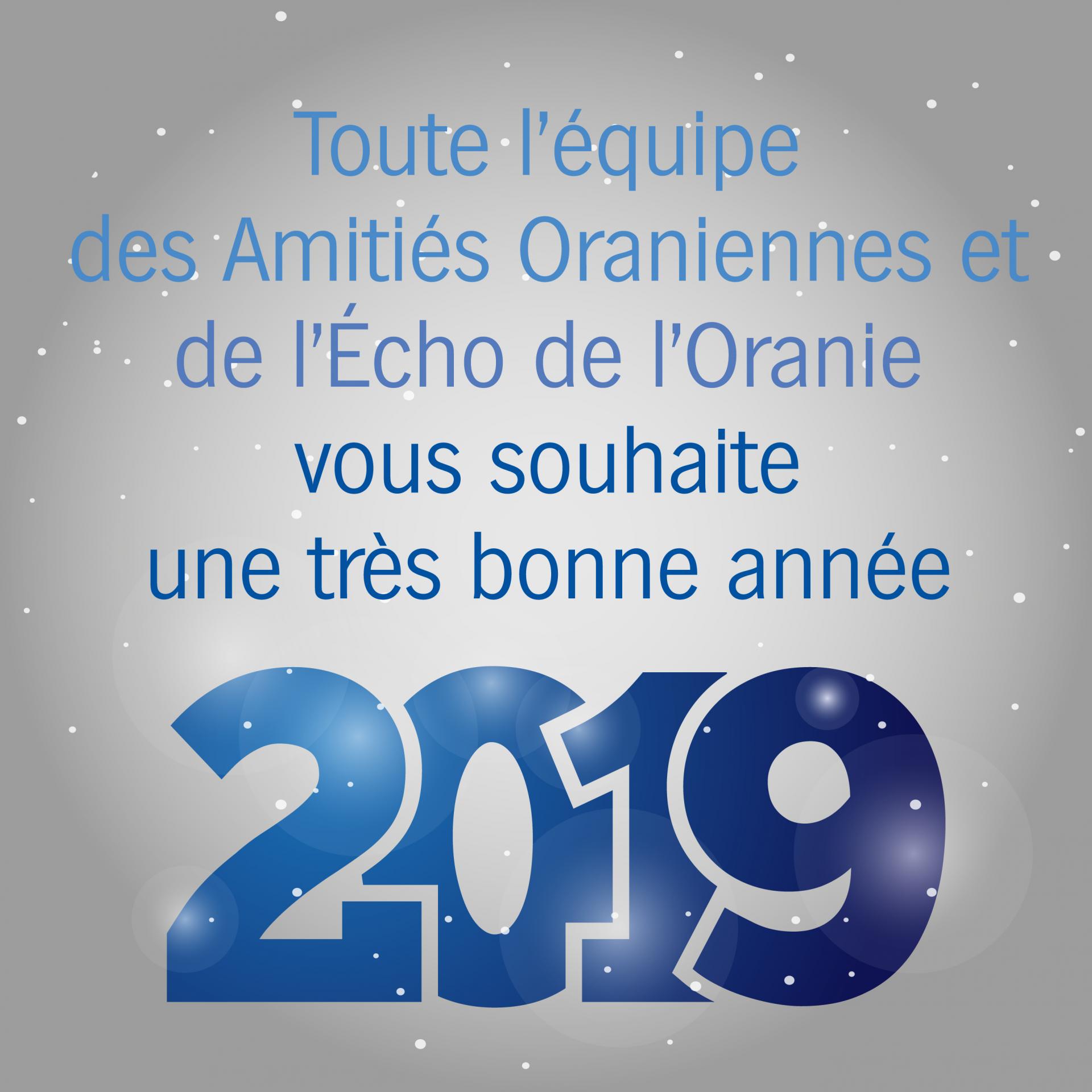 2019 voeux