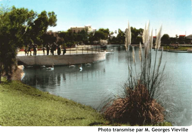 Jardin municipal gv 1