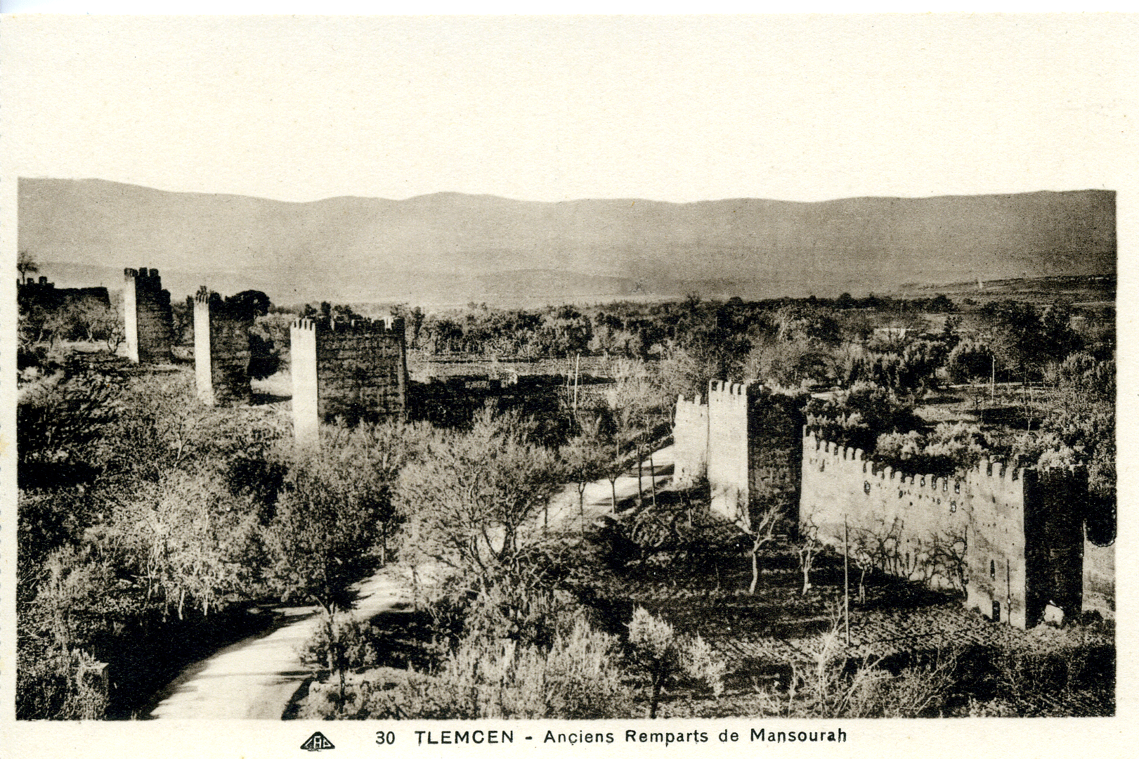 Tlemcen man